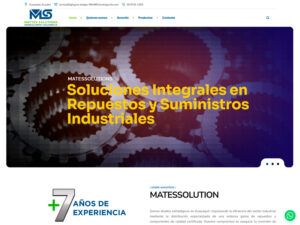 Diseño páginas web en guayaquil