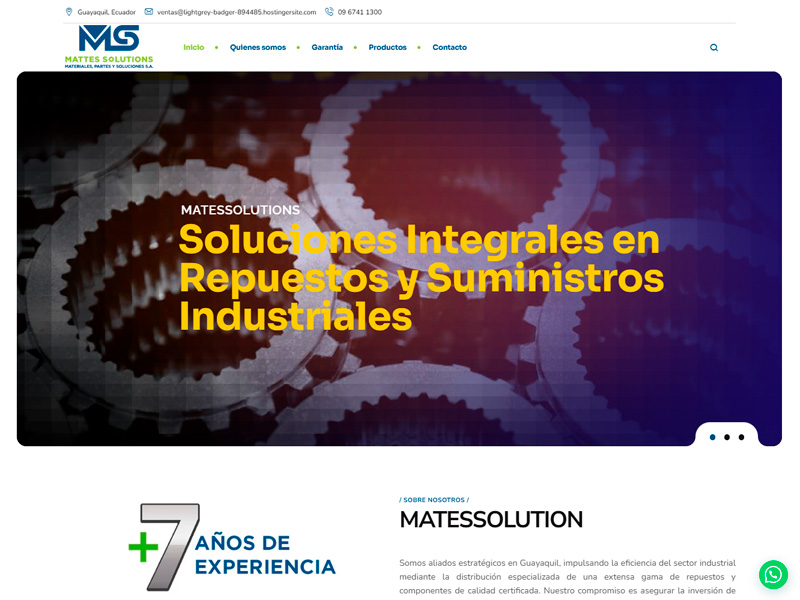 diseño páginas web en guayaquil